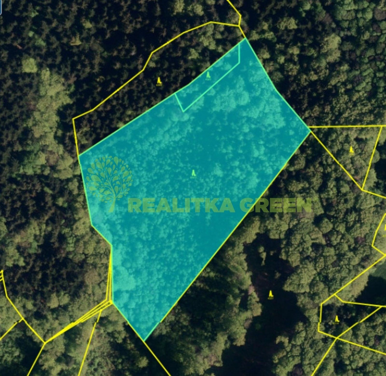 Les, 22 655 m²