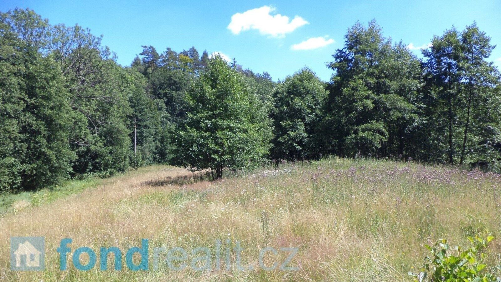Zemědělské pozemky, Mařenice, 19 744 m² - 1