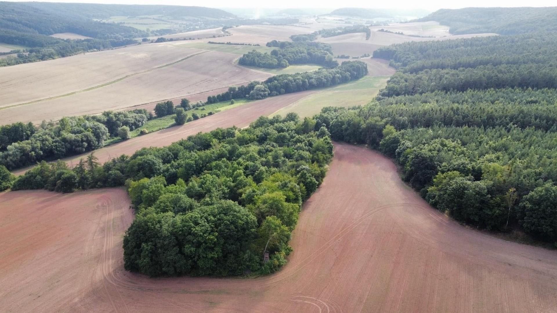 Ostatní, Hřešice, Pozdeň, 26 115 m²