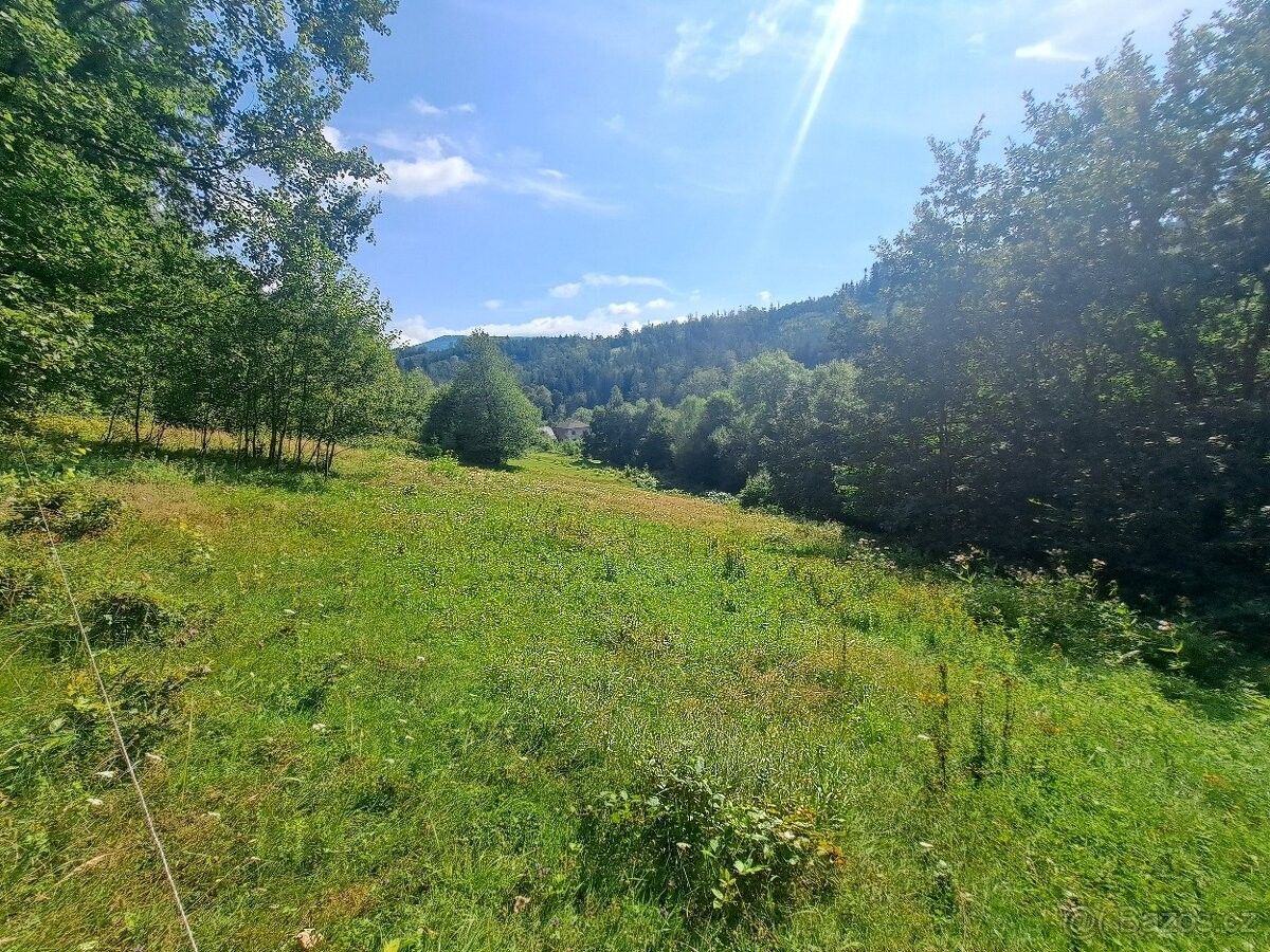 Prodej pozemek pro bydlení - Zubří, 756 54