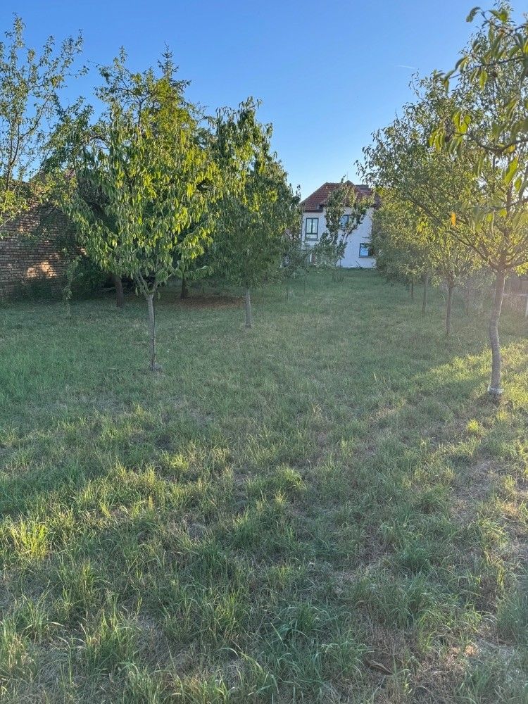 Rodinný dům · Nedakonice, 687 38 - 4