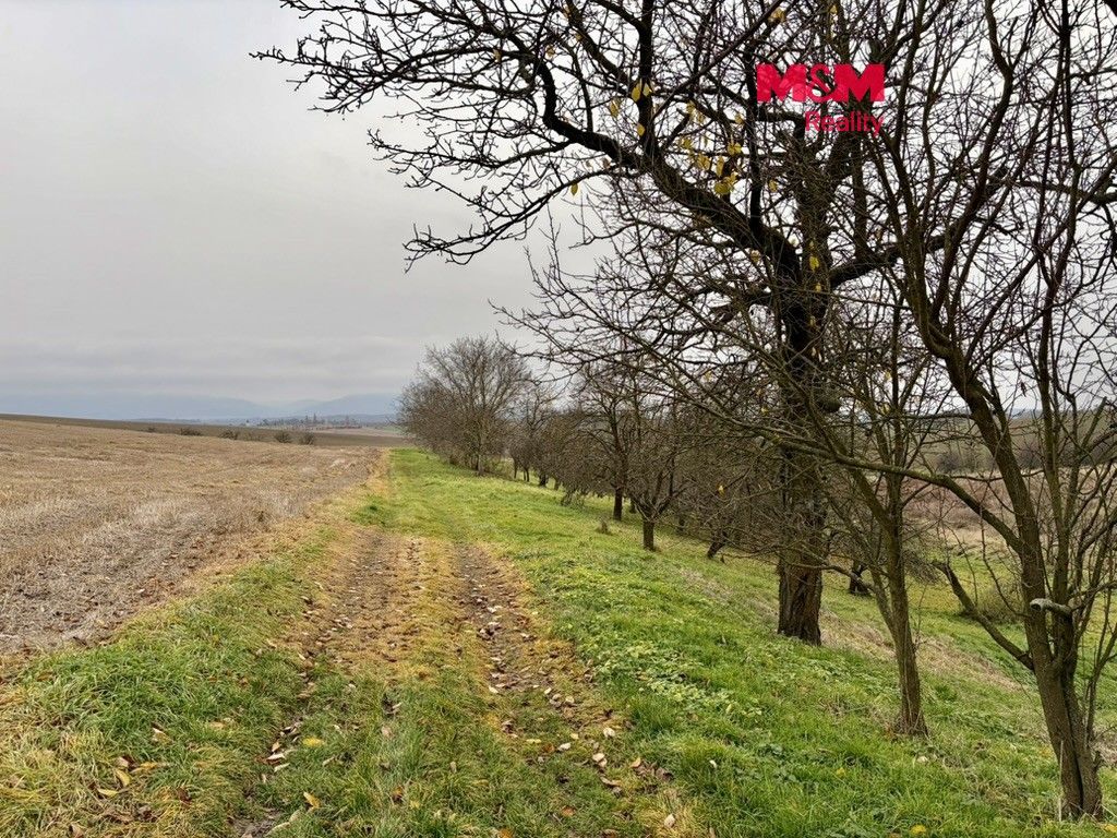 Zahrady, Soběchleby, 753 54 - 1
