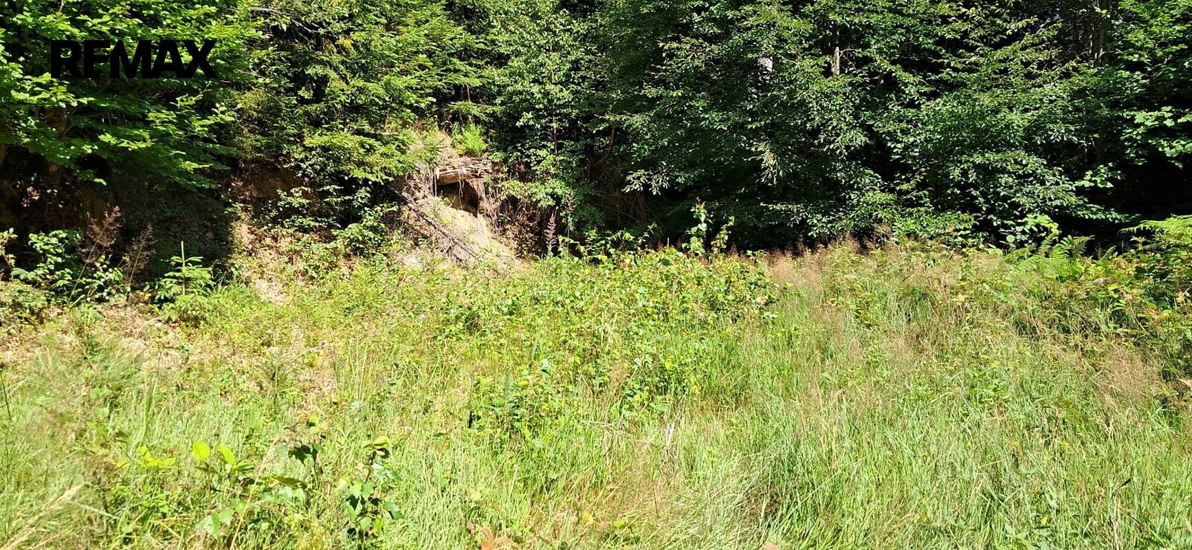 Prodej les - Hlavňovice, okres Klatovy, Plzeňský kraj - 5