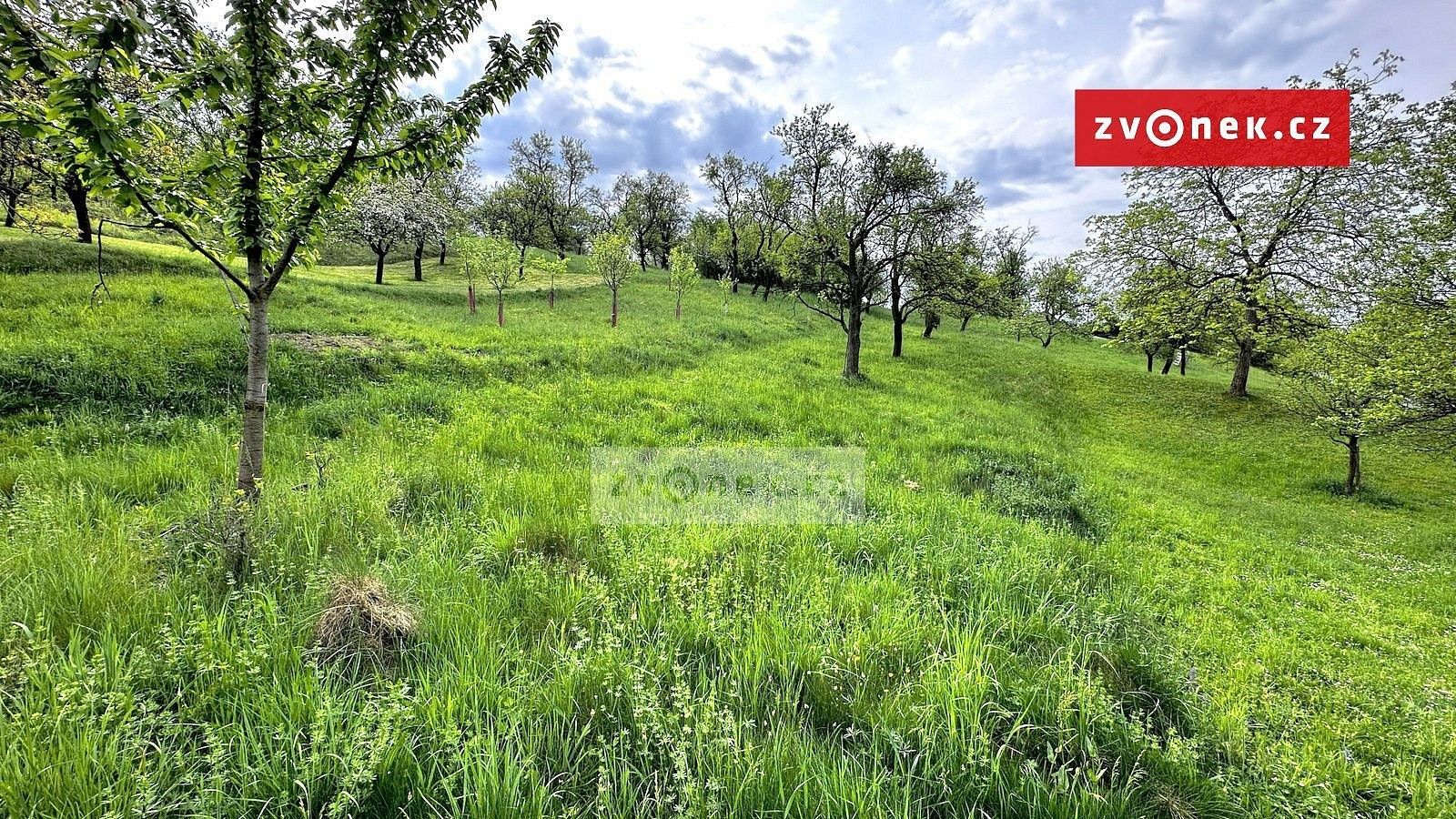 Zahrady, Halenkovice, okres Zlín, Zlínský kraj - 2