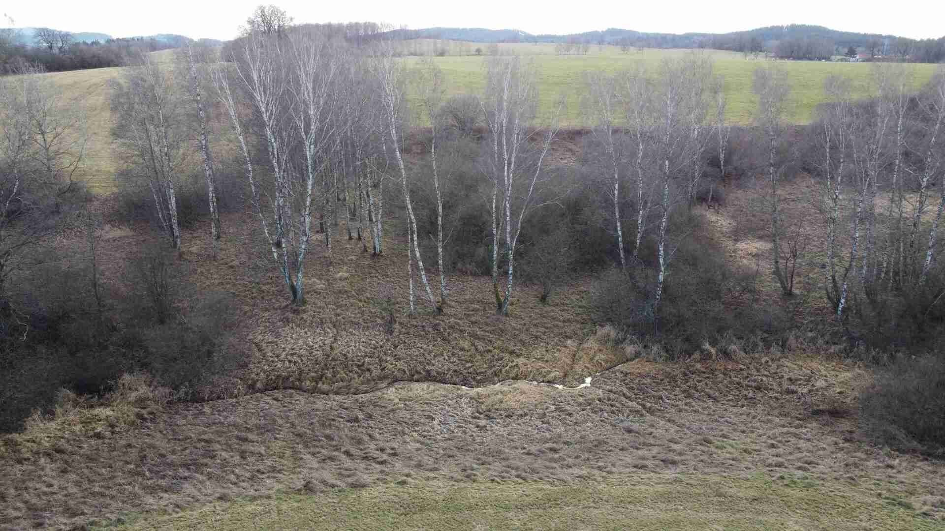 Pozemek · 18 915 m² · Dolní Dvořiště Trojany - 3