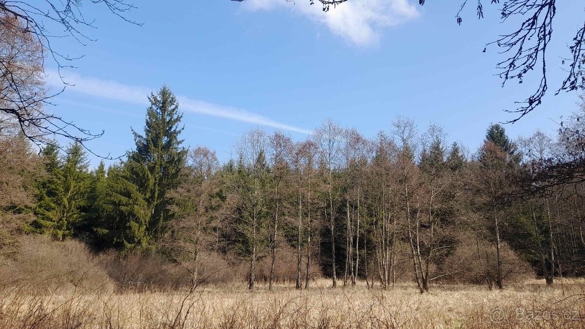 Pozemek pro bydlení · Plánice, 340 34 - 4