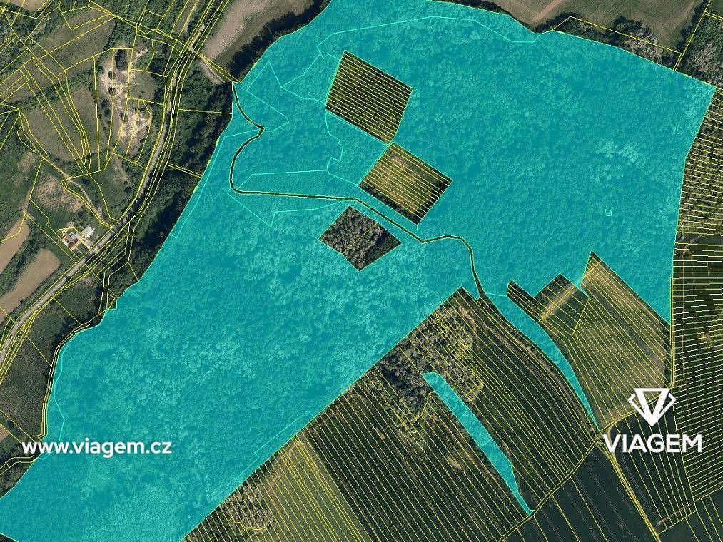 Les · Žeravice, okres Hodonín, Jihomoravský kraj - 3