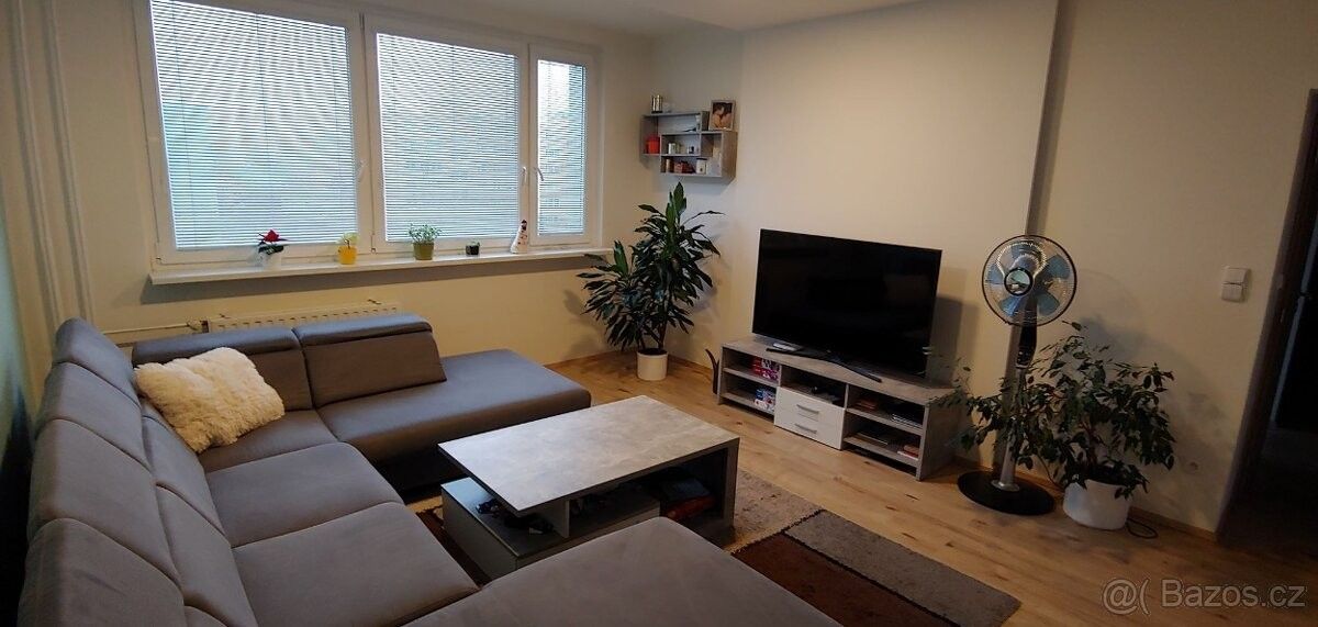 Pronájem byt - Olomouc, 779 00