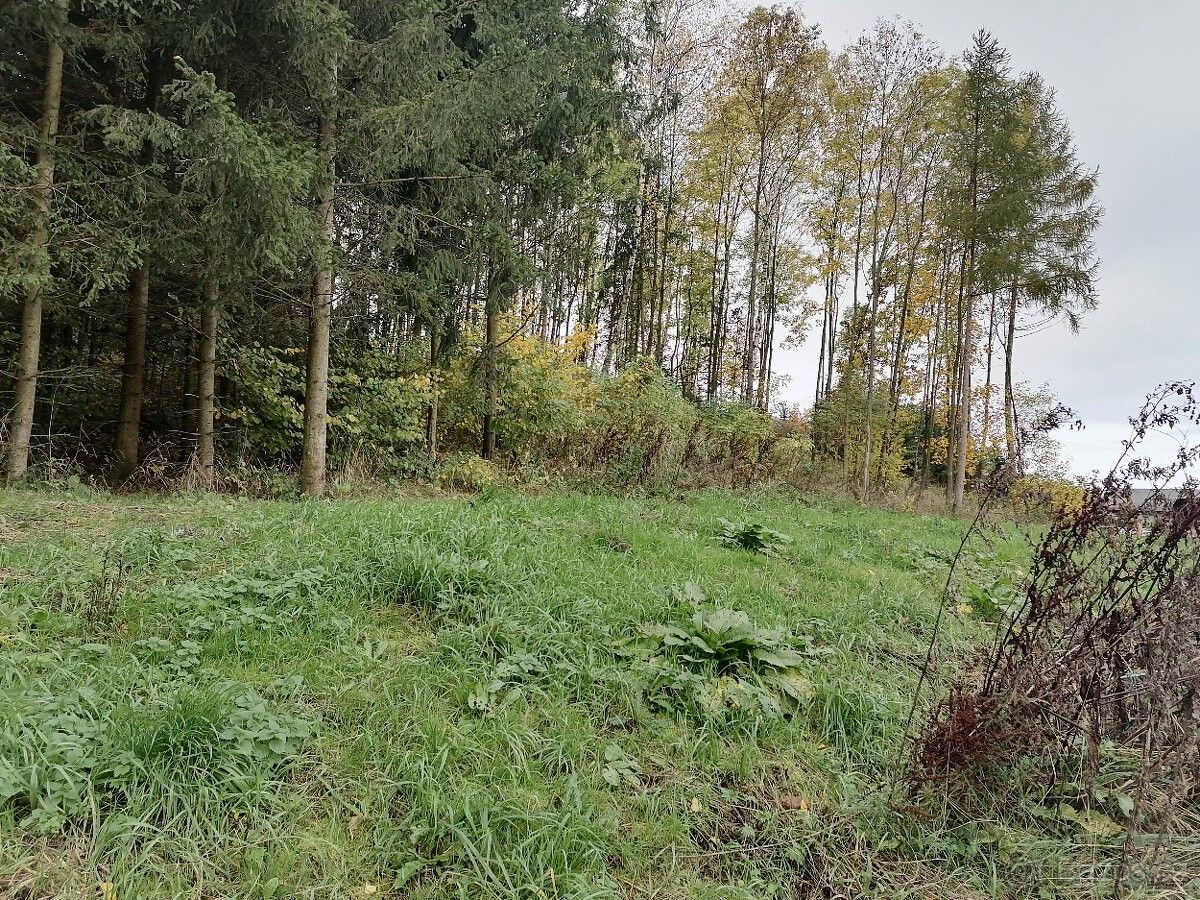 Prodej pozemek pro bydlení - Vamberk, 517 54