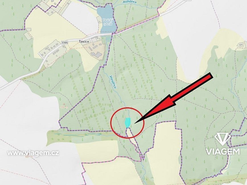 Les · Třebětín, okres Kutná Hora, Středočeský kraj - 4