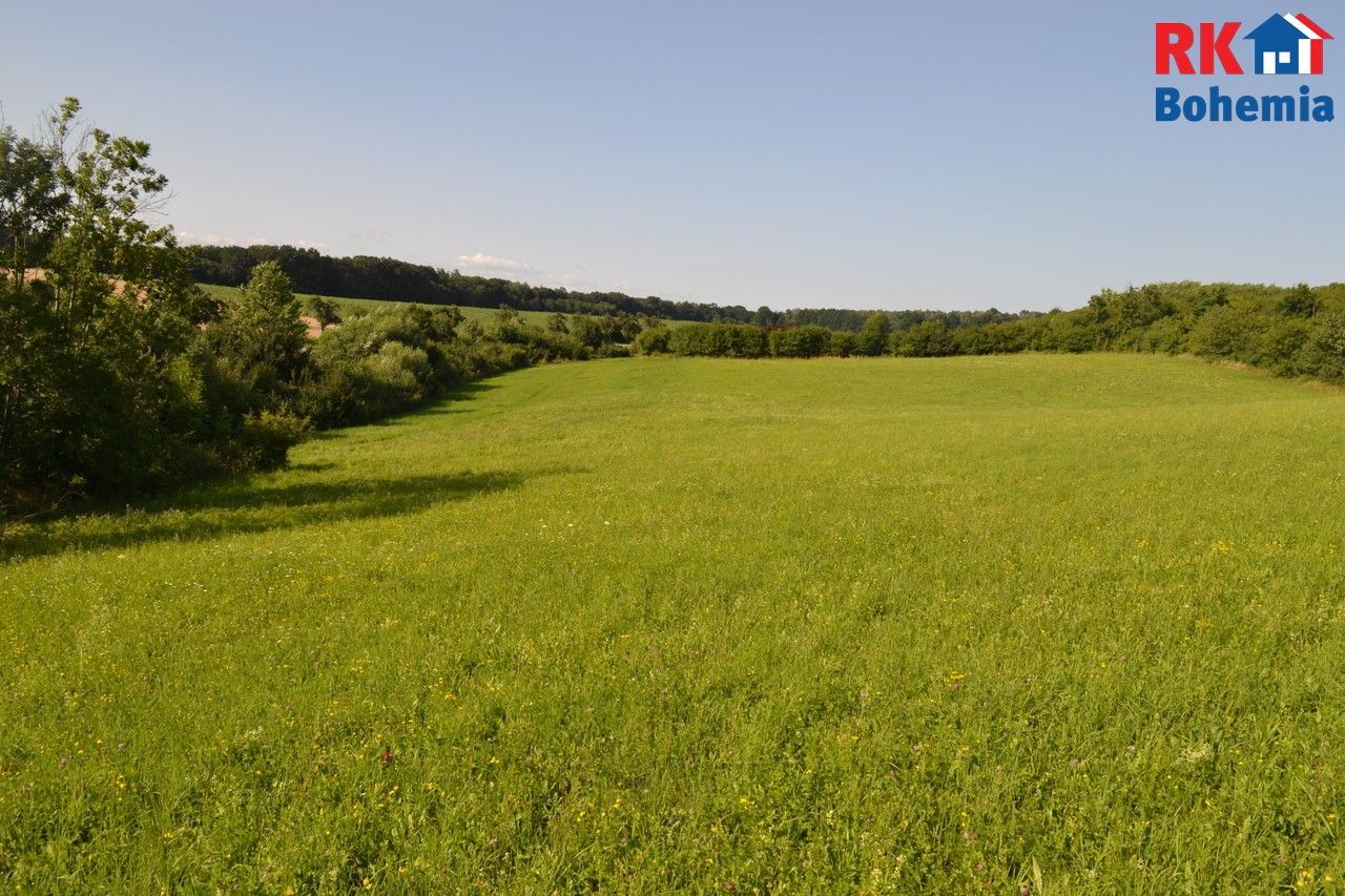 Prodej louka - Cholenice, 7 840 m²