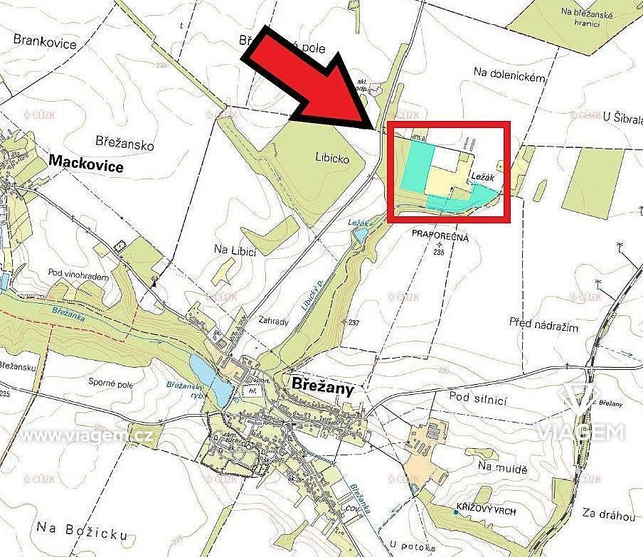 Les · Břežany, okres Znojmo, Jihomoravský kraj - 3