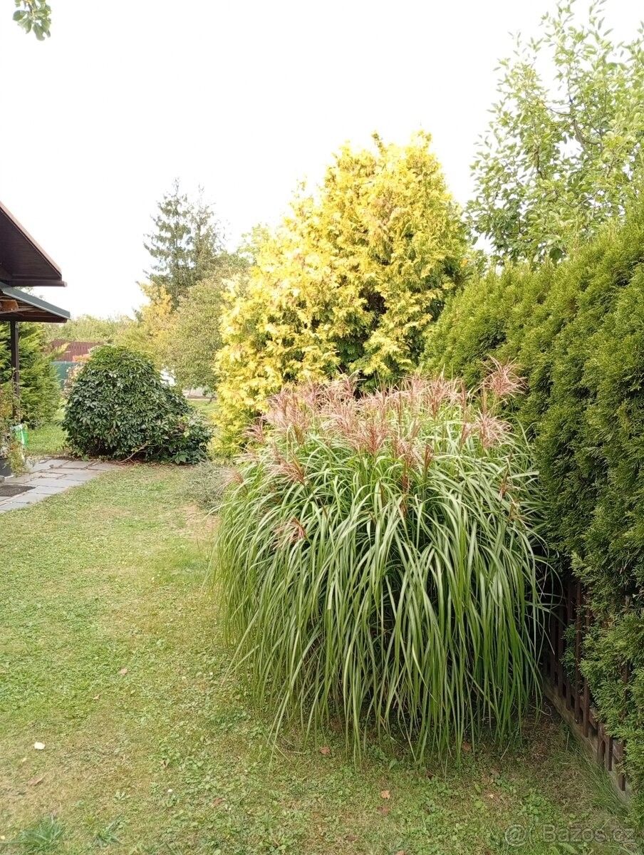 Zahrady, Olomouc, 779 00 - 2