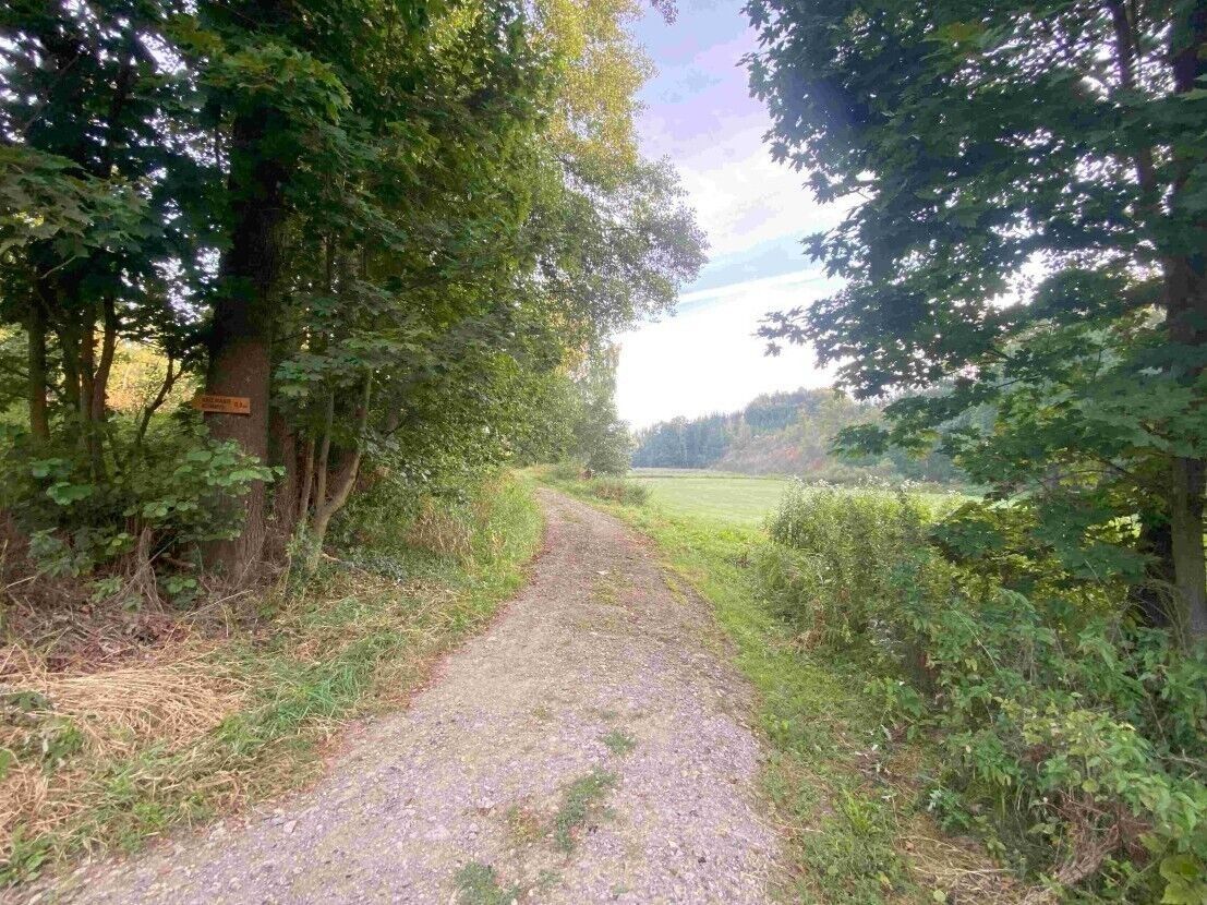 Prodej zemědělský pozemek - Polná, 9 377 m² - 5