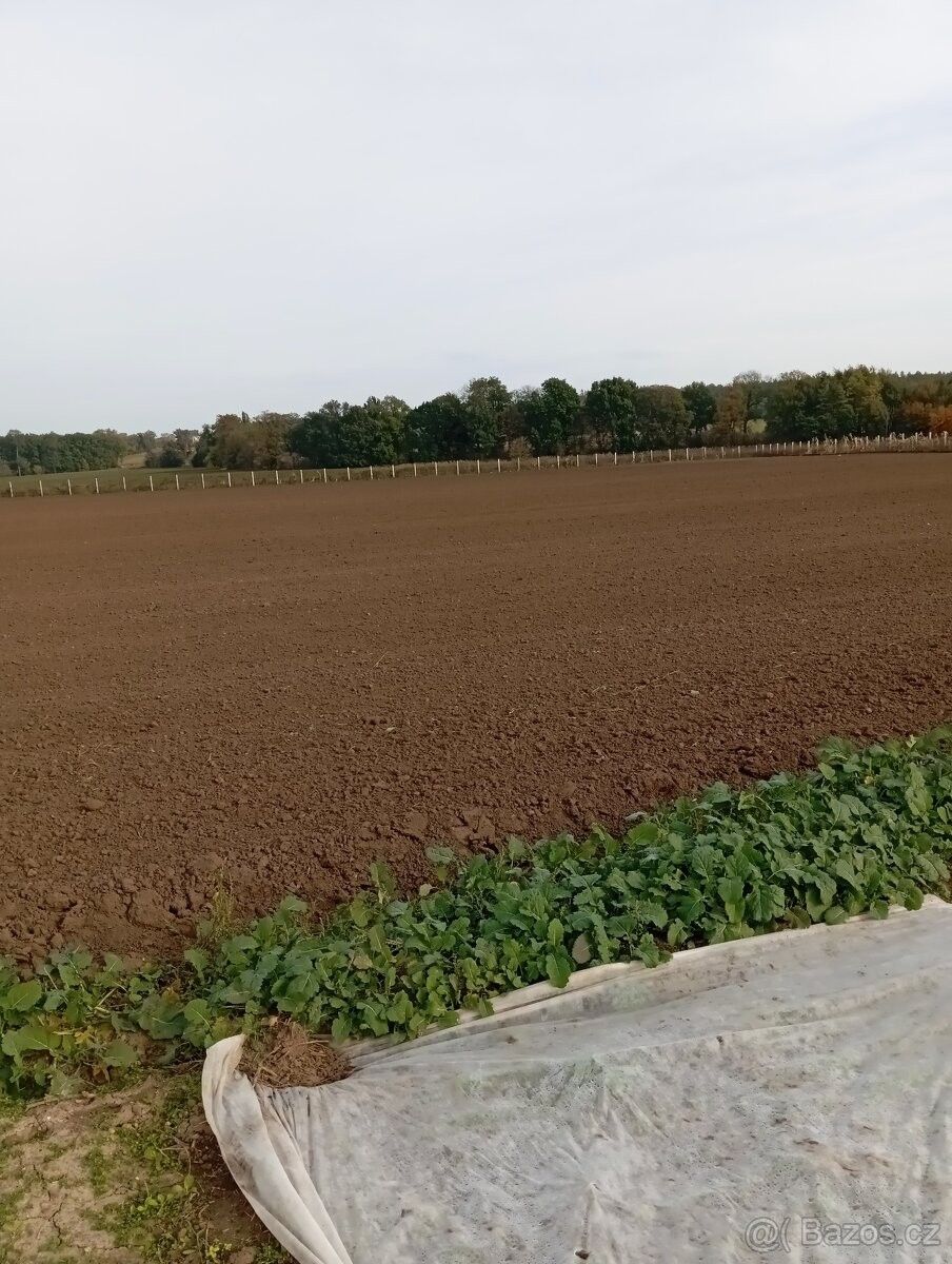 Pronájem pozemek pro bydlení - Kutná Hora, 284 01