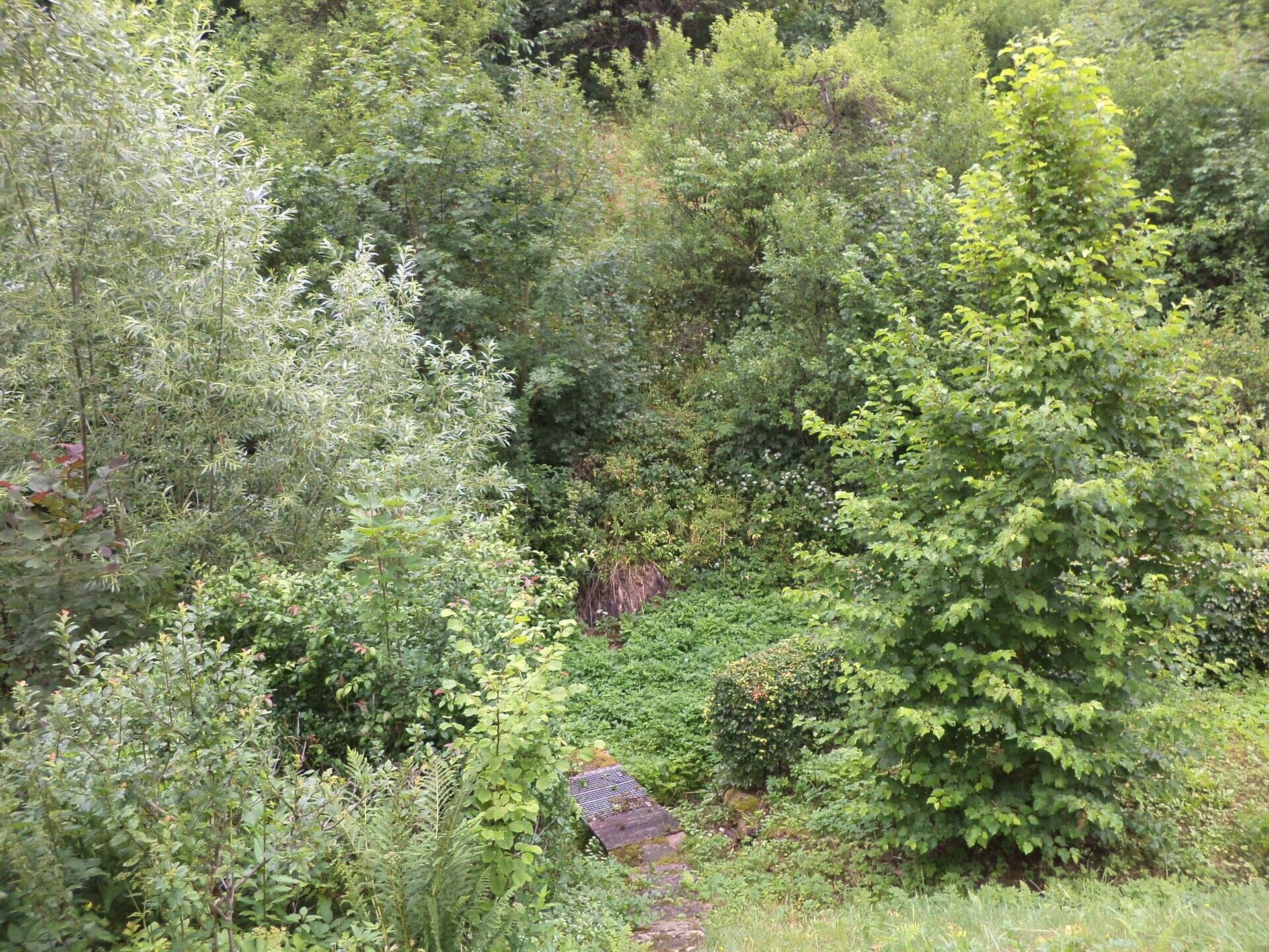 Prodej pozemek - Liberk, 2 m²