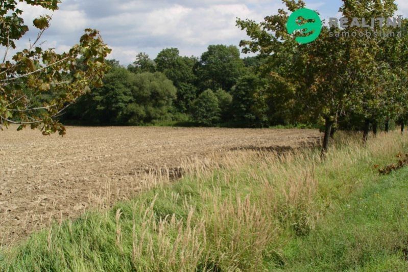 Prodej zemědělský pozemek - Mokré Lazce, 4 114 m²