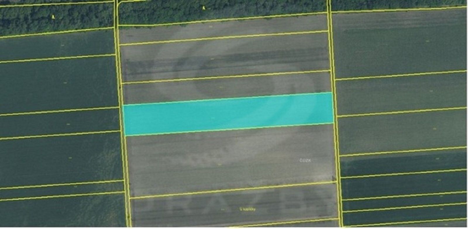 Prodej zemědělský pozemek - Hlavní, Dolní Dunajovice, 13 600 m²