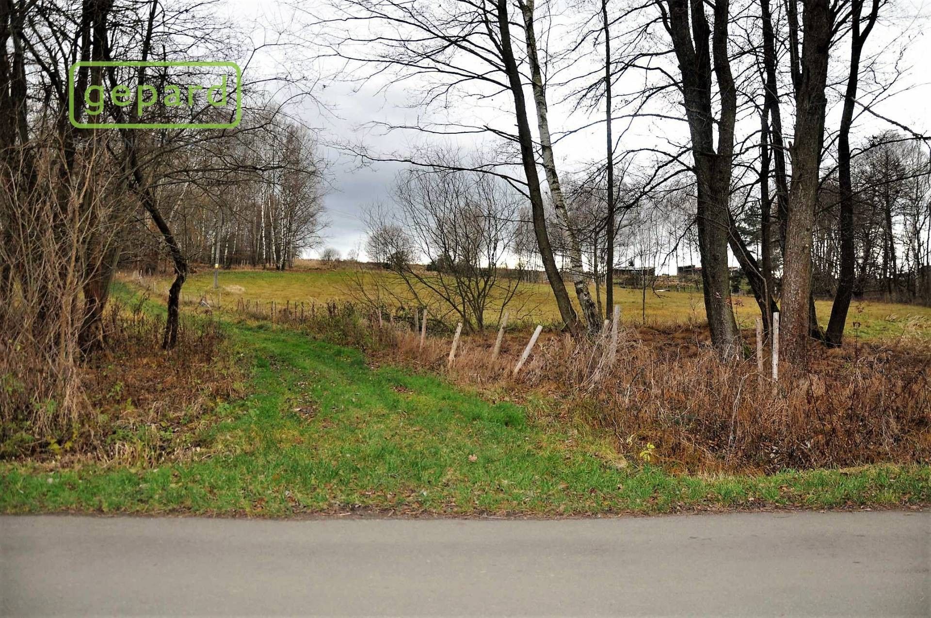 Zemědělský pozemek · 4 674 m² · Trhové Sviny - 3