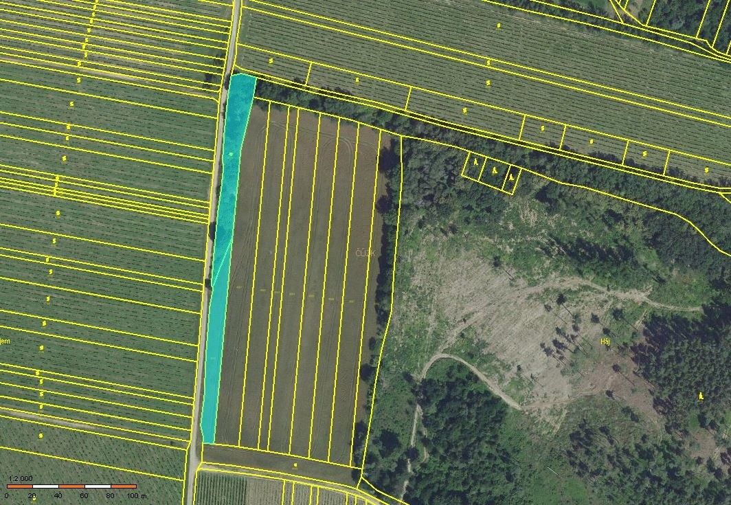 Prodej zemědělský pozemek - Ořechov