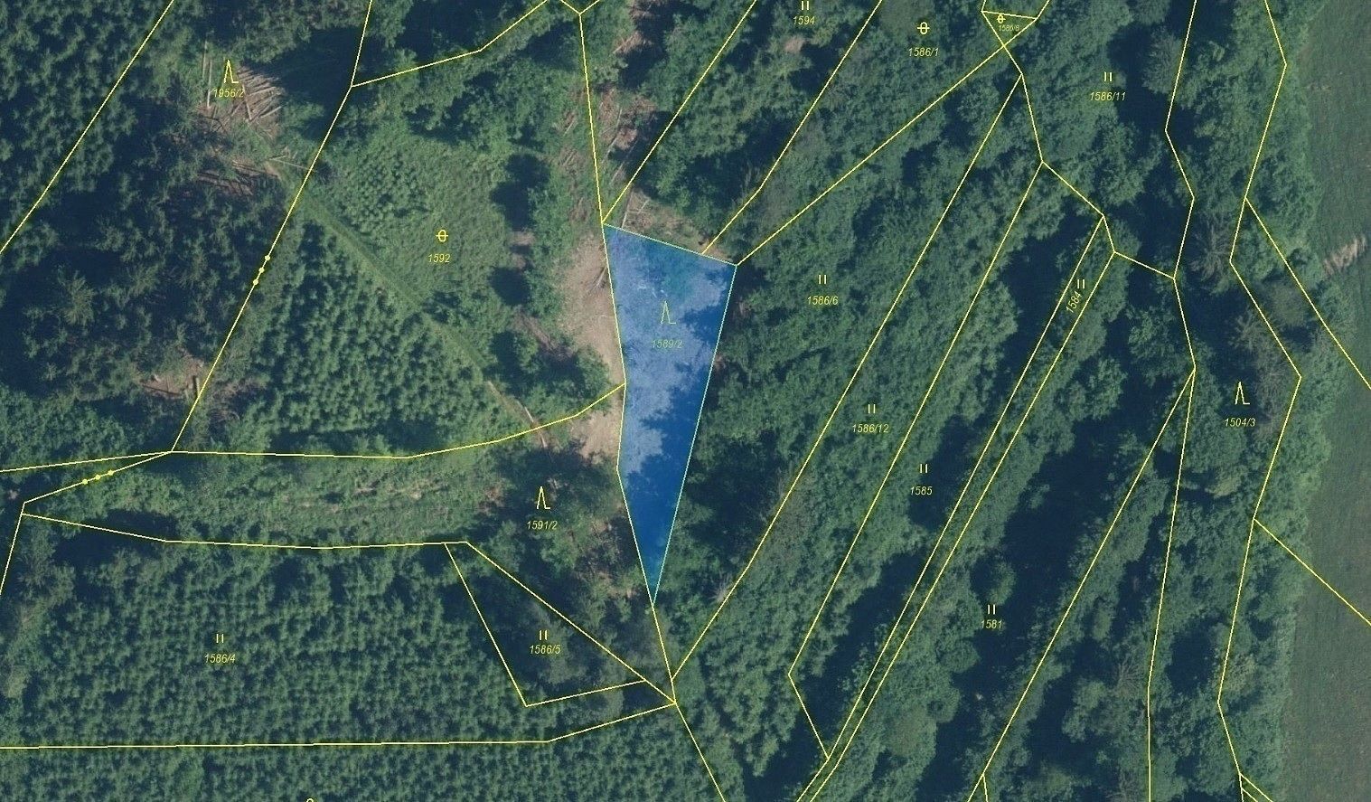 Les · Hovězí, okres Vsetín, Zlínský kraj - 3