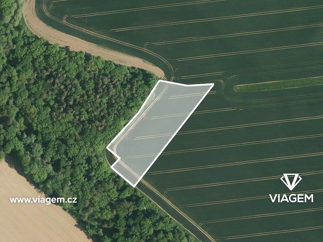 Prodej zemědělský pozemek - Dřínov, okres Kroměříž, Zlínský kraj - 2
