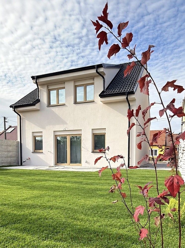 Rodinné domy, Novosedly, okres Břeclav, 129 m² - 1