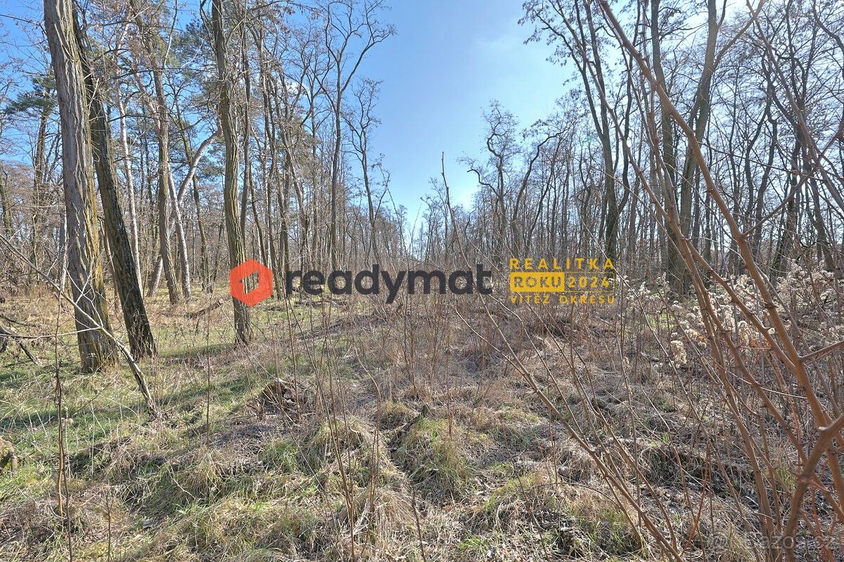 Pozemky pro bydlení, Dubňany, 696 03