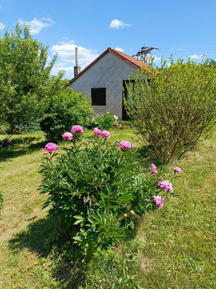 Zahrady, Blansko, 678 01 - 1
