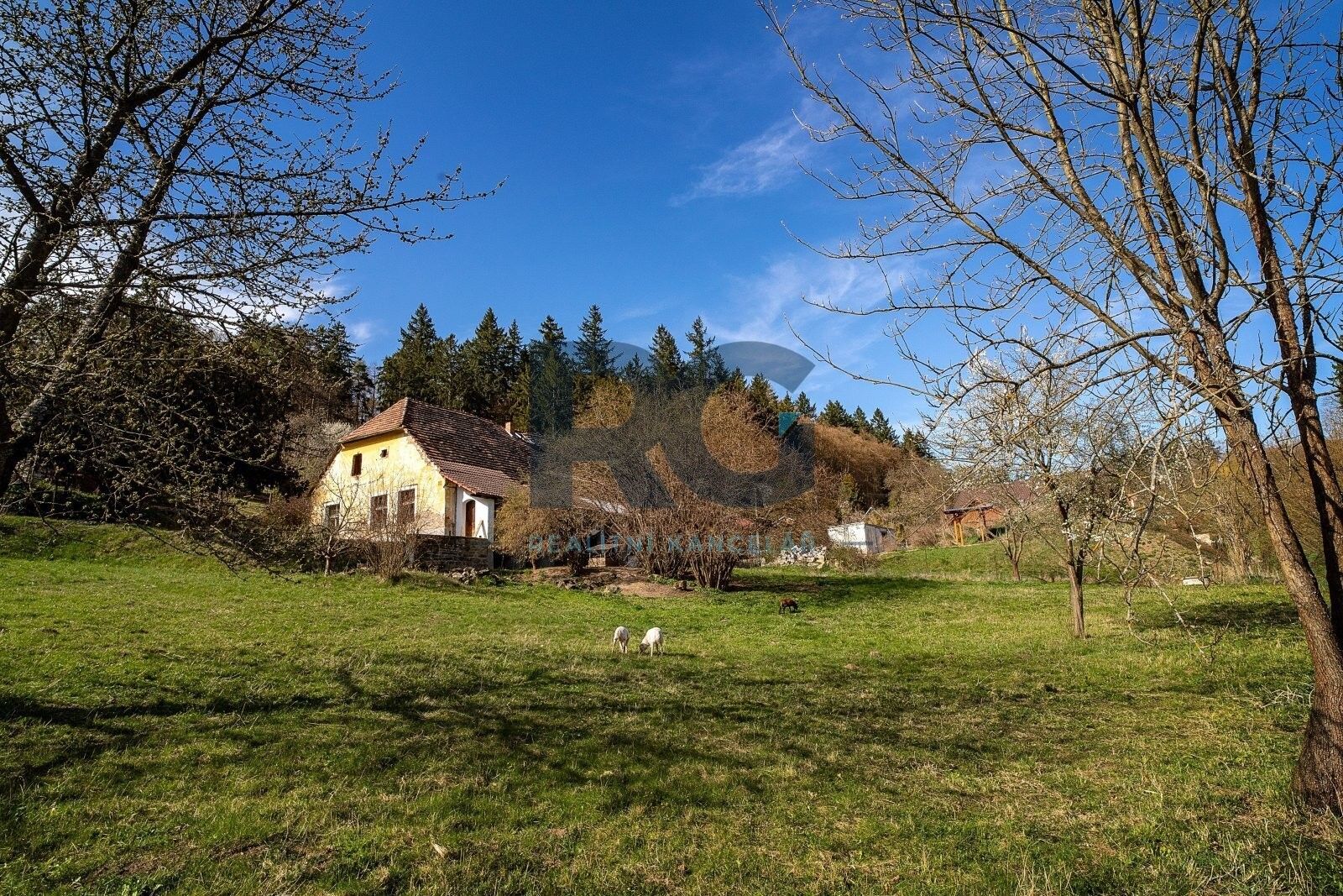 Pozemek pro bydlení · 2 000 m² · U Povolných 175, Písek Budějovické Předměstí - 4