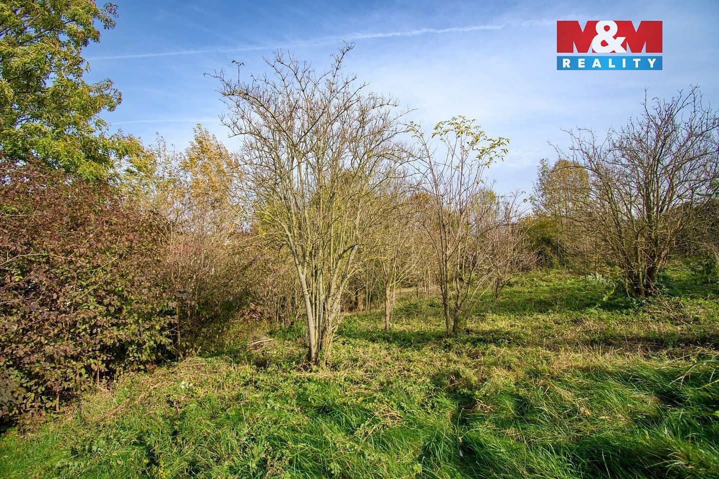 Prodej pozemek pro bydlení - Starý Jičín - Palačov, okres Nový Jičín, Moravskoslezský kraj - 5