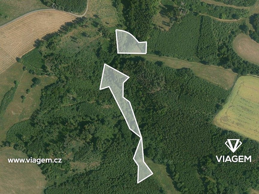 Les · Zbizuby, okres Kutná Hora, Středočeský kraj - 3