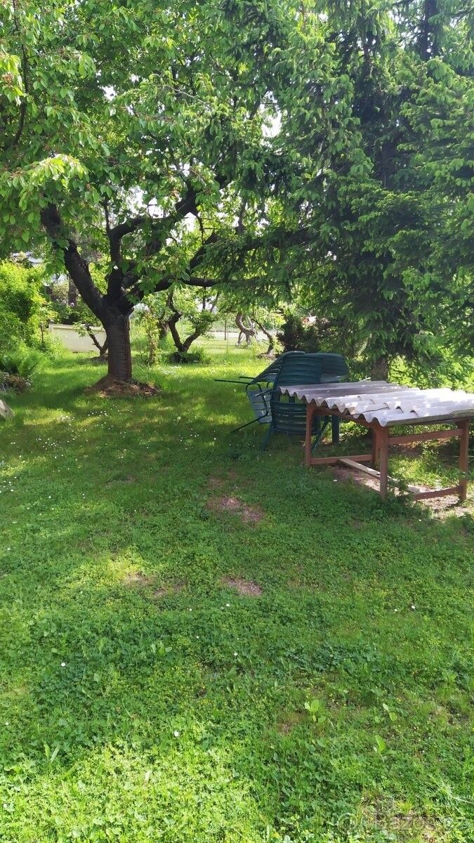 Pronájem zahrada - Praha, 160 00 - 5