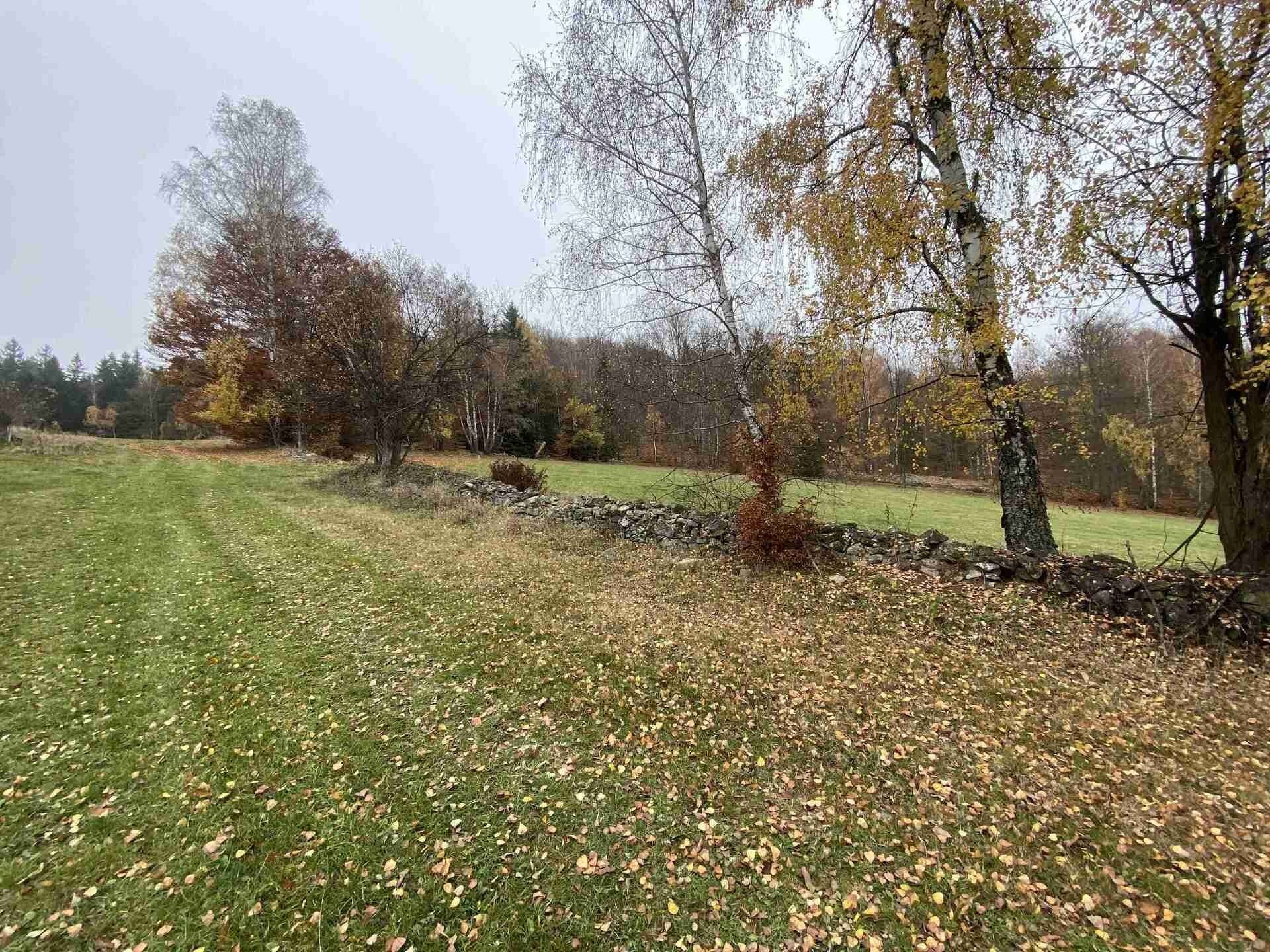 Prodej zemědělský pozemek - Chvalšiny, 1 158 m² - 5