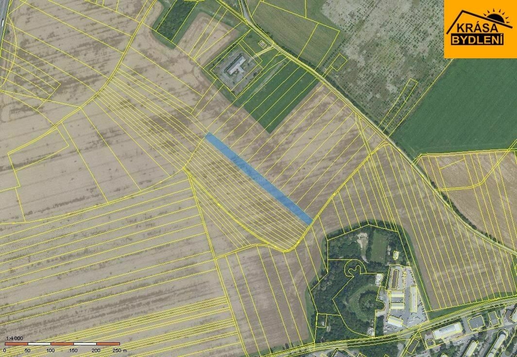 Zemědělské pozemky, Řepčín, Olomouc, 304 m²