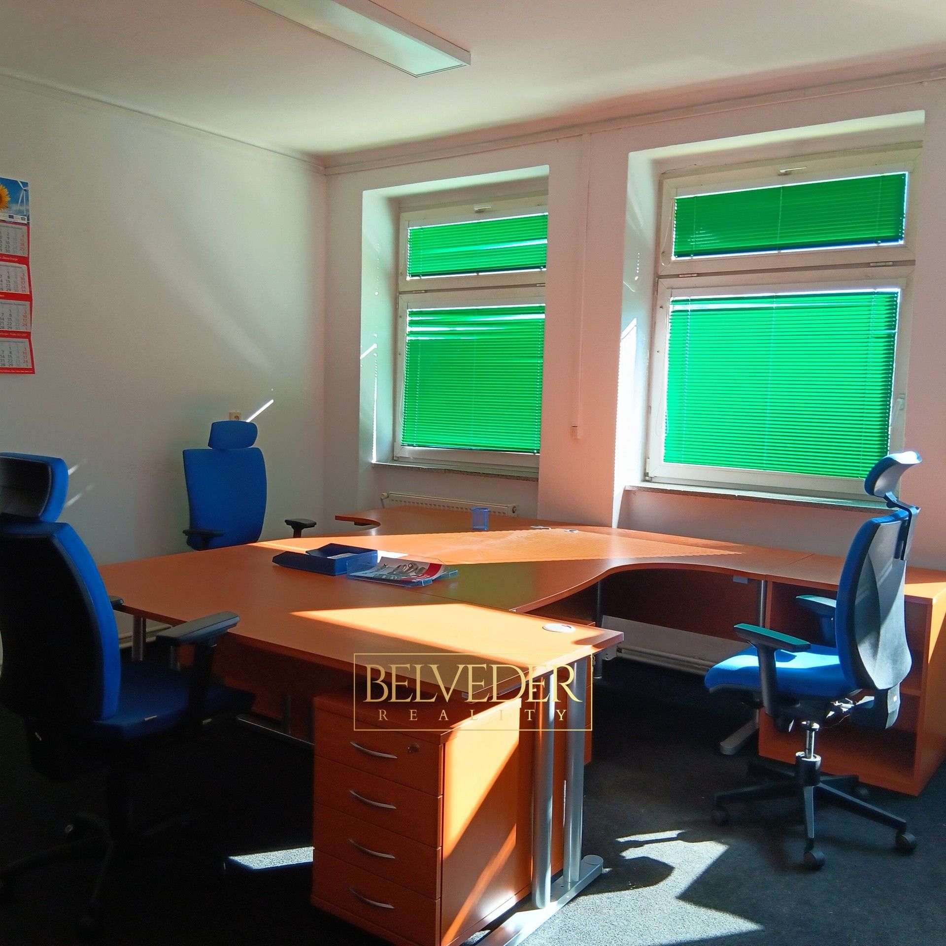 Kanceláře, Masarykova třída, Teplice, 26 m²