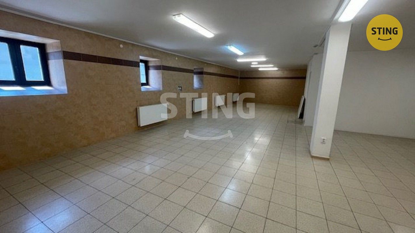 Pronájem sklad - Ostravská, Český Těšín, okres Karviná, 230 m² - 5
