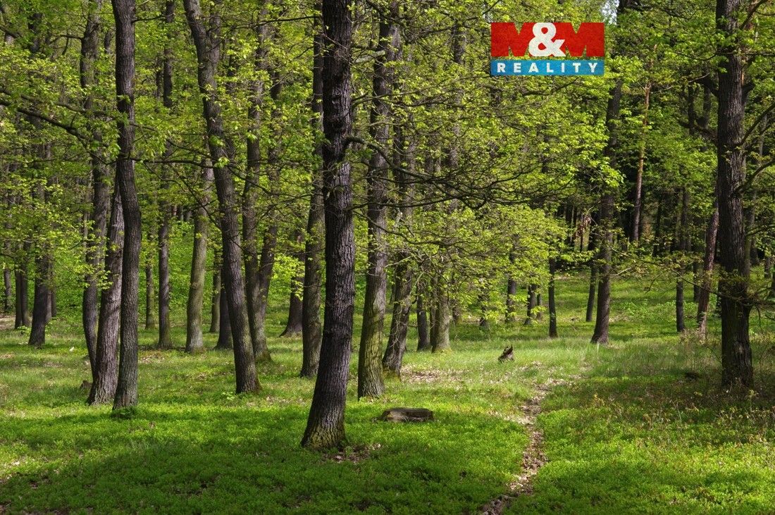 Pozemky pro bydlení, Bystřice nad Olší, 739 95