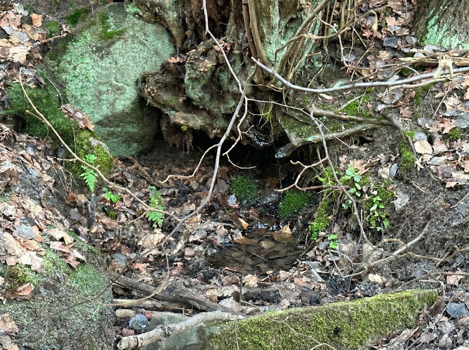 Prodej pozemek - Těptín, Kamenice