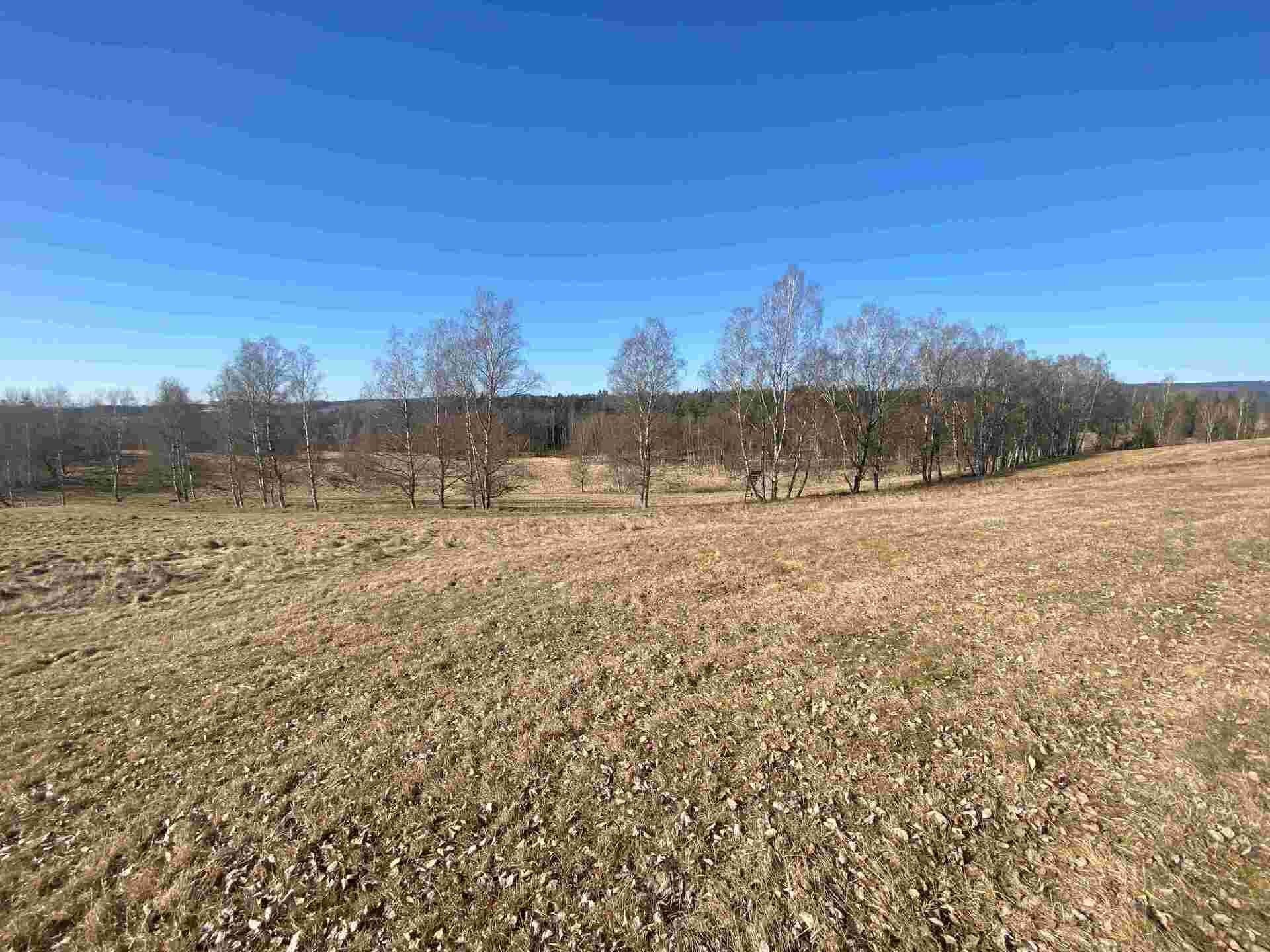 Zemědělské pozemky, Svatá Kateřina, Rozvadov, 60 m²