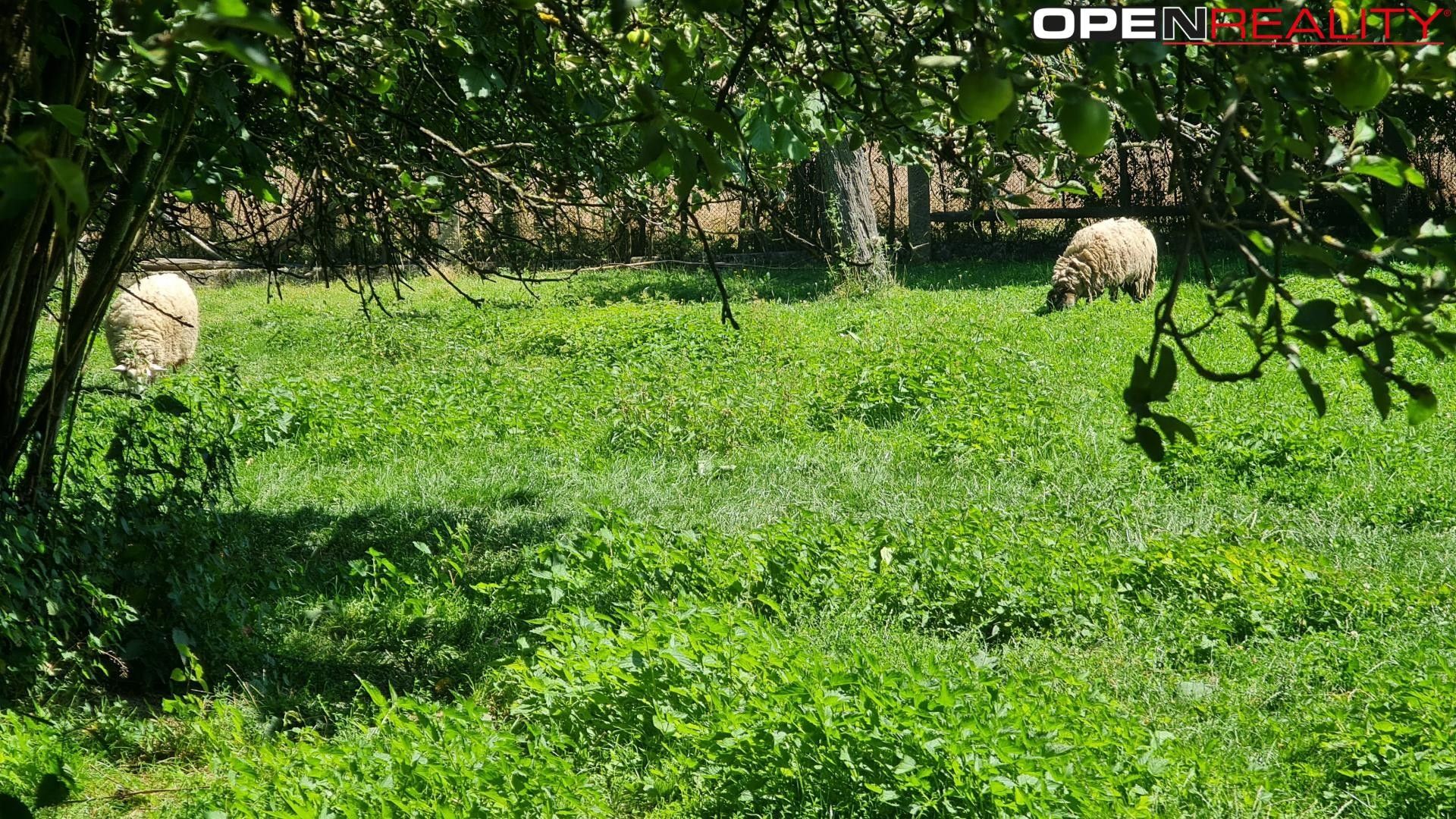 Zemědělský objekt · 147 121 m² · Lesná - 3