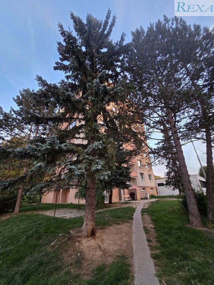 1+kk, Černého, Brno - Bystrc, 30 m² - 1