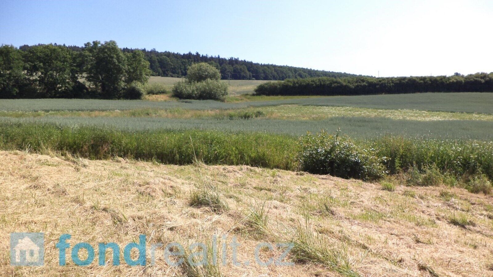 Ostatní, Držkrajov, Přeštěnice, 3 m²