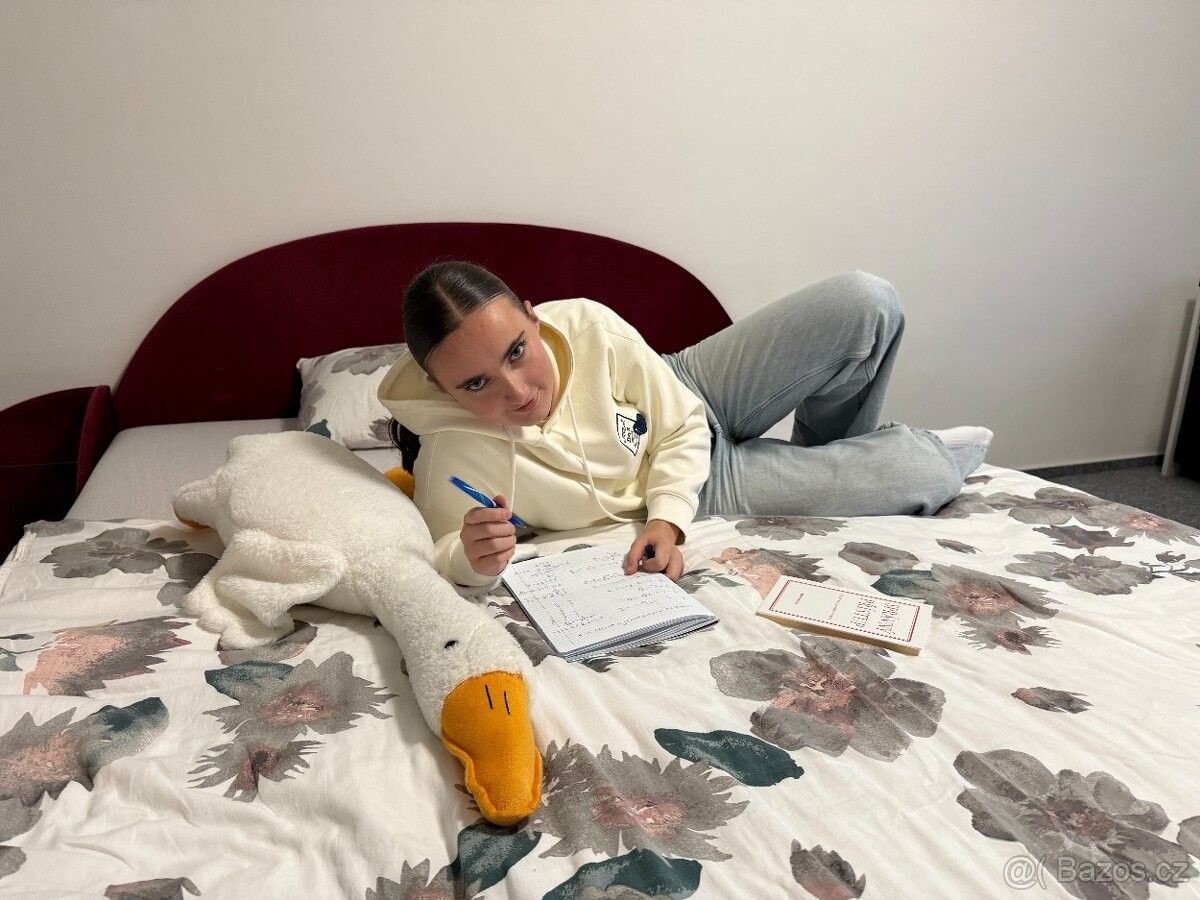 Pronájem byt - Opava, 746 01