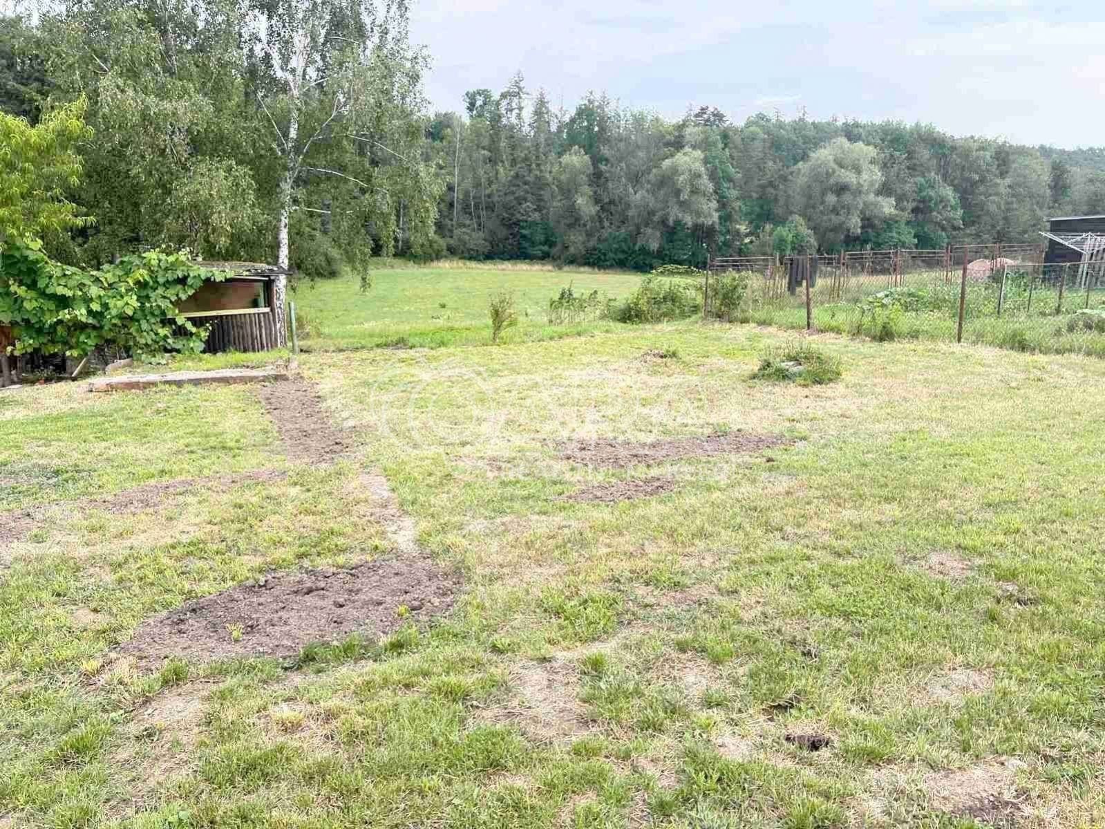 Byt 2+kk · 41 m² · Luže Bělá - 4