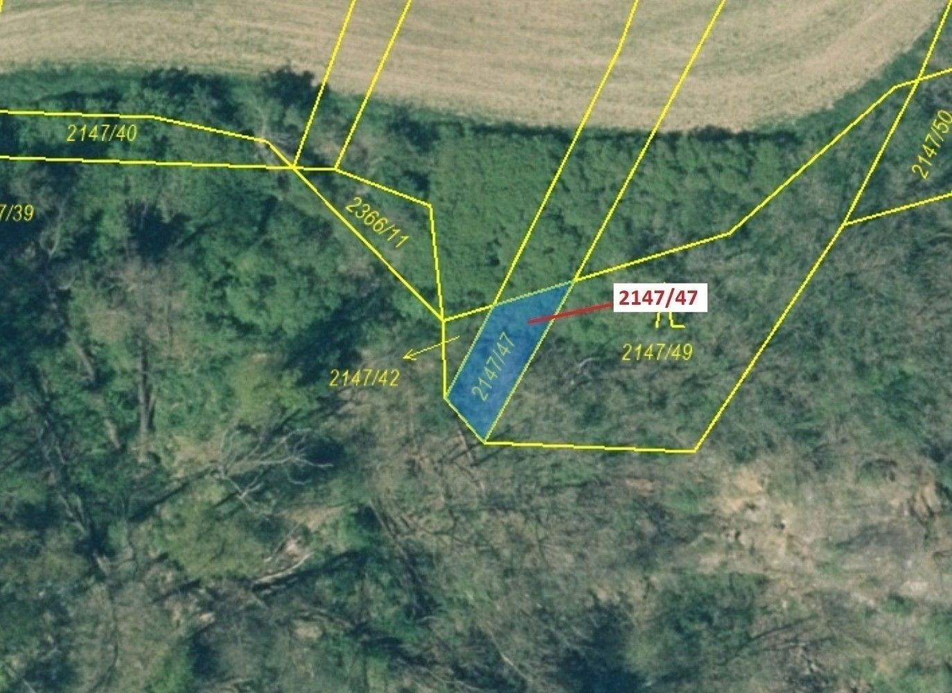 Prodej les - Nadryby, okres Plzeň-sever, Plzeňský kraj - 2