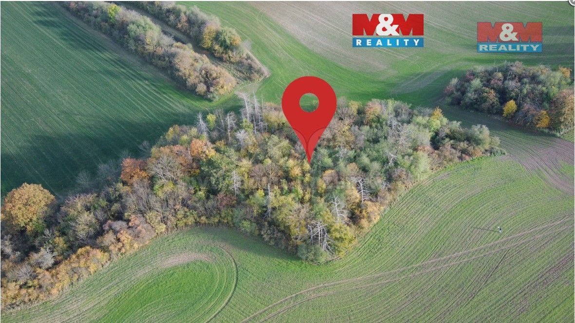 Pozemky pro bydlení, Kočí, 538 61