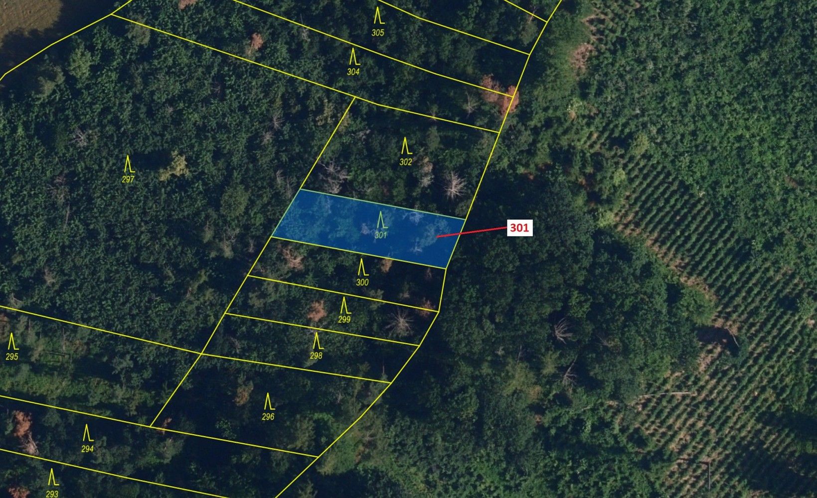 Prodej les - Lipník, okres Třebíč, Kraj Vysočina - 2