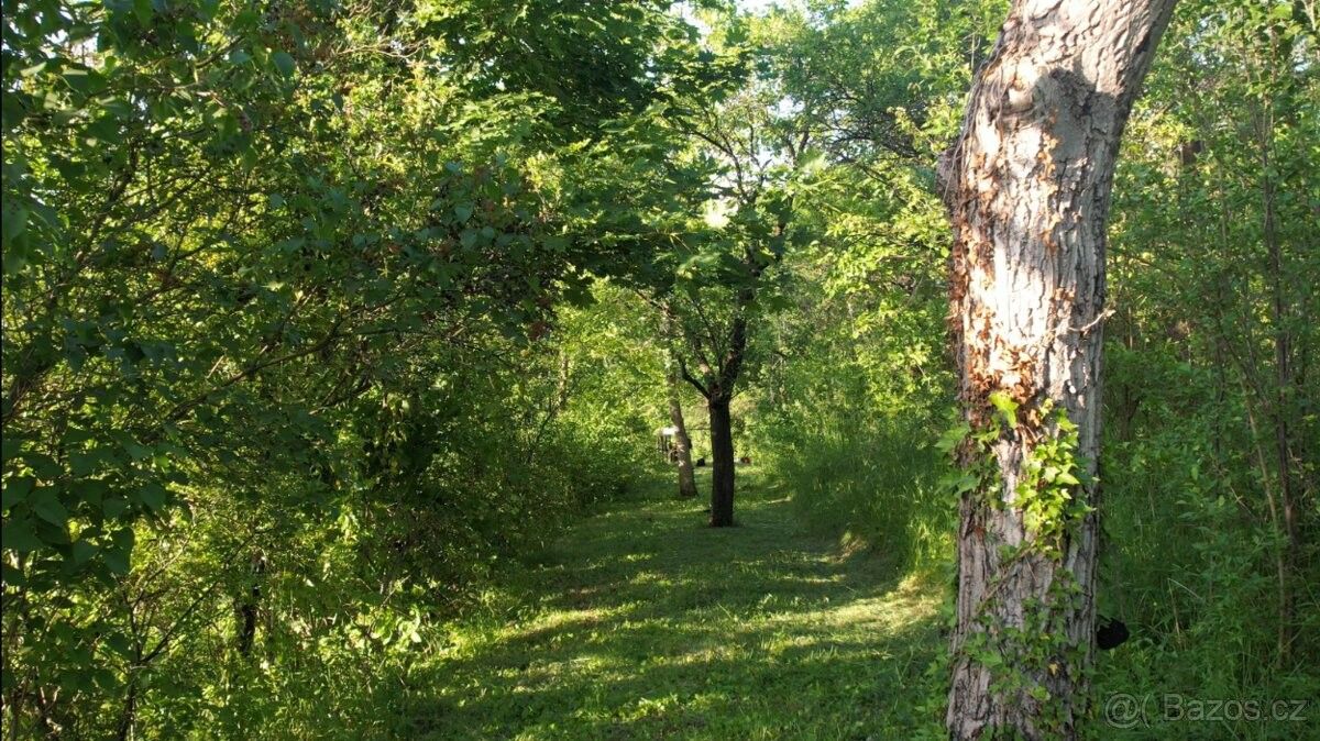 Zahrady, Brno, 636 00