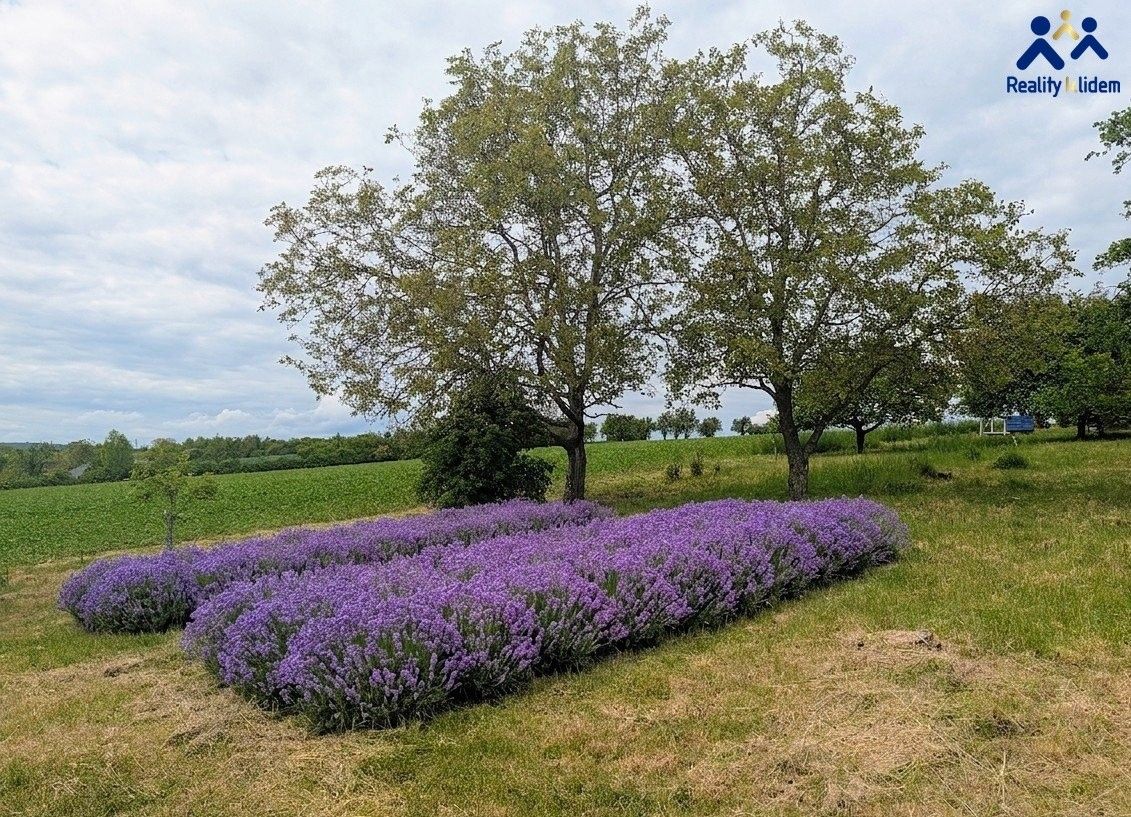 Prodej chata - Želeč, 35 m² - 5